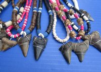 Wholesale Megalodon Shark tooth necklace 1 to 2 inch wrapped with silver colored wire on an assorted color coconut bead necklace - Packed: 2 pcs @ $19.00 each; Packed: 8 pcs @ $17.00 each