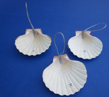 Wholesale Handcrafted Snowman face Seashell Christmas Ornaments 4 to 4-1/2 inches - 12 pcs @ $1.35 each; 48 pcs @ $1.20 each