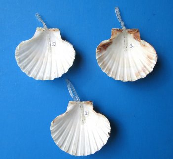 Santa Seashell Christmas Ornaments 4 inch - 10 pcs @ $1.70 each; 30 pcs @ $1.50 each