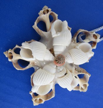 Wholesale Handcrafted Seashell Christmas Ornaments 3 inches - 12 pcs @ $1.00 each; 48 pcs @ $.90 each