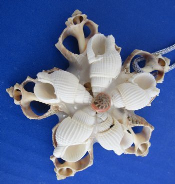 Wholesale Handcrafted Seashell Flower Christmas Ornaments 3 inches - 12 pcs @ $1.00 each; 48 pcs @ $.90 each