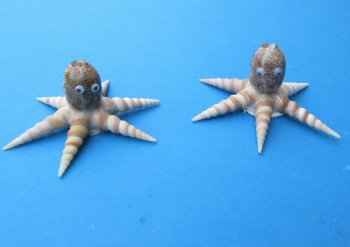 Seashell Octopus Novelty 5 inches - 6 pcs @ $1.50 each; 30 pcs @ $1.35 each