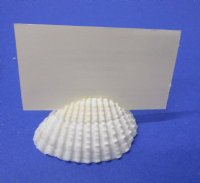Wholesale Assorted seashell party place card holders, for beach wedding tables - 25 assorted seashells @ $.40 each;  150 shells @ $.32 each