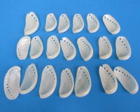 Wholesale Pearl donkey ear abalone shells, 2-1/2" to 3" - 100 pcs @ $.35 each