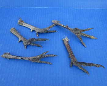 4-1/2 to 5 inch Pheasant Feet - 5 pcs @ $2.25 each; 20 pcs @ $2.00 each