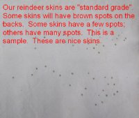 Tanned Reindeer Hides, Reindeer Skins Wholesale Priced, Standard Grade $150