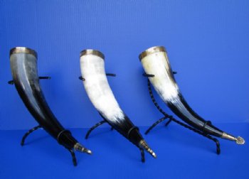 Wholesale Decorative Polished Cattle Horn with Twisted Iron Stand - 2 pcs @ $11.00 each; 8 pcs @ $9.90 each