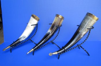 Wholesale Decorative Polished Cattle Horn with Twisted Iron Stand - 2 pcs @ $11.00 each; 8 pcs @ $9.90 each