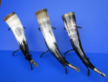 Wholesale Decorative Drinking Horns with Rod Iron Stand 15 to 18 inches - 2 pcs @ $14.75; 8 pcs @ $13.25 each