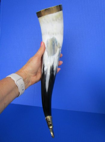 Wholesale Decorative Drinking Horns with Rod Iron Stand 15 to 18 inches - 2 pcs @ $14.75; 8 pcs @ $13.25 each