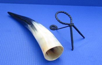 Wholesale Polished Cattle/Cow Drinking Horns with Rod Iron Stand 12 to 15 inches - 2 pcs @ $8.50; 8 pcs @ $7.50 each