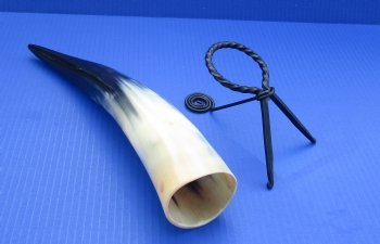 Wholesale Polished Cattle/Cow Drinking Horns with Rod Iron Stand 12 to 15 inches - 2 pcs @ $9.00; 8 pcs @ $8.00 each