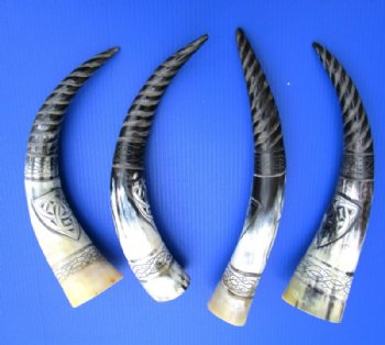 Wholesale Polished Spiral Carved Dragon Cattle/Cow horns 15-18 inch - 2 pc @ $18.00 each; 8 pcs @ $16.20 each