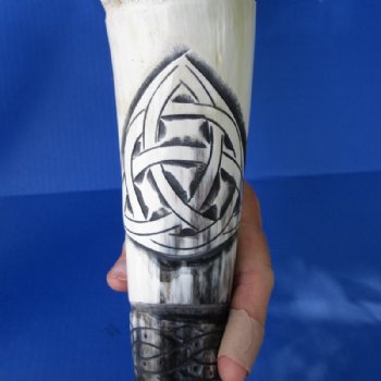 Wholesale Polished Spiral Carved Dragon Cattle/Cow horns 15-18 inch - 2 pc @ $18.00 each; 8 pcs @ $16.20 each