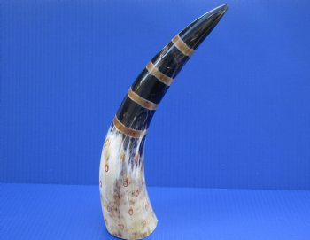 12 to 15 inch Wholesale Painted Decorative Cattle/Cow horns with Stripes and Circles - 2 pcs @ $9.00 each; 12 pcs @ $8.00 each