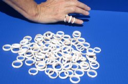 Wholesale Strombus Rings in a twisted Rope Design - 100 pcs @ $.60 each;  400 pcs @ $.54 each