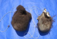 Wholesale buffalo scrotums for sale, buffalo nut sack, assorted sizes, hard tanned - $40 each; 6 pcs @ $36 each 
