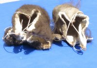 Wholesale buffalo scrotums for sale, buffalo nut sack, assorted sizes, hard tanned - $40 each; 6 pcs @ $36 each 