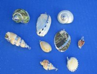 Wholesale Silver Plated trimmed assorted shell pendants - Packed: 100 pcs @ $.65 each; Packed: 500 pcs @ $.58 each