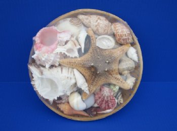 Seashell Souvenirs, Basket of Shells 