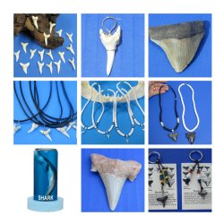 Shark Products 