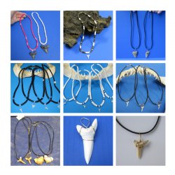 Shark Teeth Necklaces and Pendants