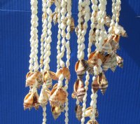 23 inch Spiral Seashell Chandelier (2 pcs, 12 pcs)