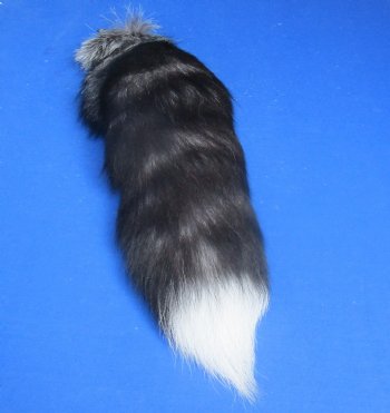Silver Fox tails 15 to 18 inch (2 pc, 8 pcs)
