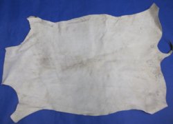 Grade B African Blesbok Skins -  (1 pc, 5 pc)