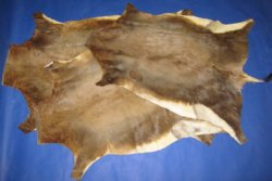 Grade B African Blesbok Skins -  (1 pc, 5 pc)