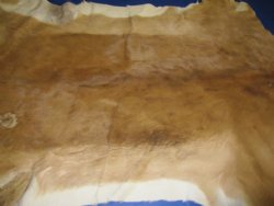 African Impala Skins, Hides  Grade B, - (1 pc, 5 pc)