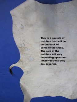 Grade B African Blesbok Skins -  (1 pc, 5 pc)