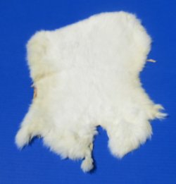 Off-White Rabbit Fur Pelts - Bulk Wholesale - 2 pcs @ $5.00 each; 12 pcs @ $4.00 each