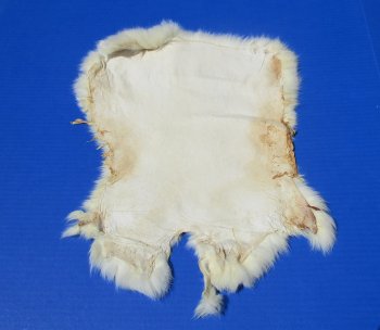 Off-White Rabbit Fur Pelts - Bulk Wholesale - 2 pcs @ $5.00 each; 12 pcs @ $4.00 each