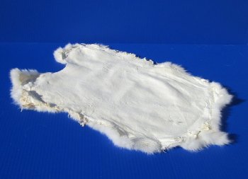 Premium White Rabbit Fur Pelts - Bulk Wholesale - 2 pcs @ $5.00 each; 12 pcs @ $4.00 each