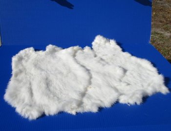 Premium White Rabbit Fur Pelts - Bulk Wholesale - 2 pcs @ $5.00 each; 12 pcs @ $4.00 each