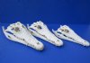 14 inches Wholesale Nile Crocodile Skull - Pack of 1 @ $295.00 each; Pack of 2 @ $265.00 each (Shipped Adult Signature Required) CITES 263852