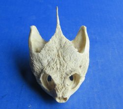 Wholesale Common Sn...