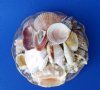 8 inches shell gift baskets filled with natural mixed shellls 8 inches - Minimum: 3 Cases (Case of 12 @ $1.30 each) 
