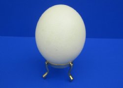 Wholesale 3 Leg Brass Ostrich Egg Stand 3 inch by 2-1/2 inch - 3 pcs @ $3.75 each;12 pcs @ $3.25 each 
