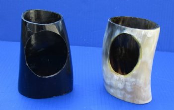 Wholesale Polished Drinking Horn stand 4-3/4 inch to 5-3/4 inch tall - 4 pcs @ $3.75 each; 20 pcs @ $3.35 each 