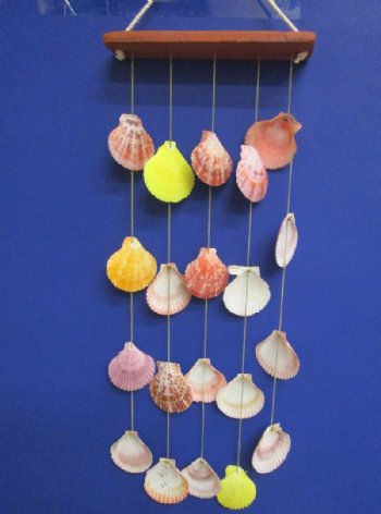 18 inches wholesale seashell wall hanging with pecten noblis shells - 6 pcs @ $2.50 each 