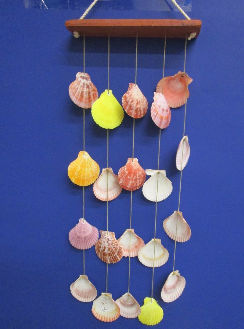 18 inches wholesale seashell wall hanging, beach decor with pecten noblis shells