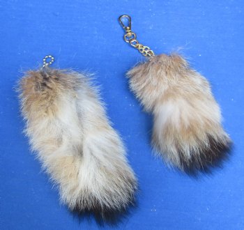 Wholesale Tanned Canadian Lynx tails, 3-1/2 to 4-1/2 inches long. 2 pcs @ $8.50 each; 8 pcs @ $7.75 each