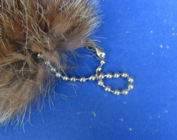 Wholesale Tanned Canadian Lynx tails, 3-1/2 to 4-1/2 inches long. 2 pcs @ $8.50 each; 8 pcs @ $7.75 each