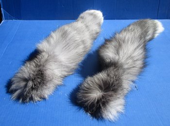 Indigo Fox tails 21 to 25 inch (2 pc, 8 pc)