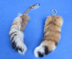 Lynx tails 6 to 8 inch (2 pc, 8 pc)