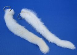 Wholesale Tanned Male White Mink tails 10 to 11 inches long - 2 pcs @ $8.50 each; 8 pcs @ $7.75 each