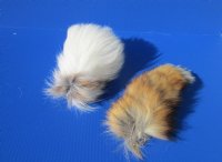 Wholesale mixed fox tails 10 to 13 inches long.  2 pcs @ $8.50 each; 8 pcs @ $7.75 each