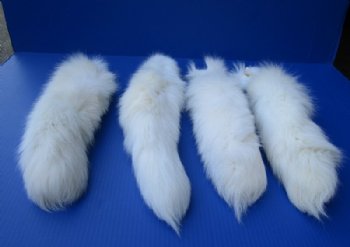 Wholesale Tanned White Fox tails with an attached ball chain for sale 11 to 14 inches long.  2 pcs @ $16.50 each; 6 pcs @ $14.50 each
